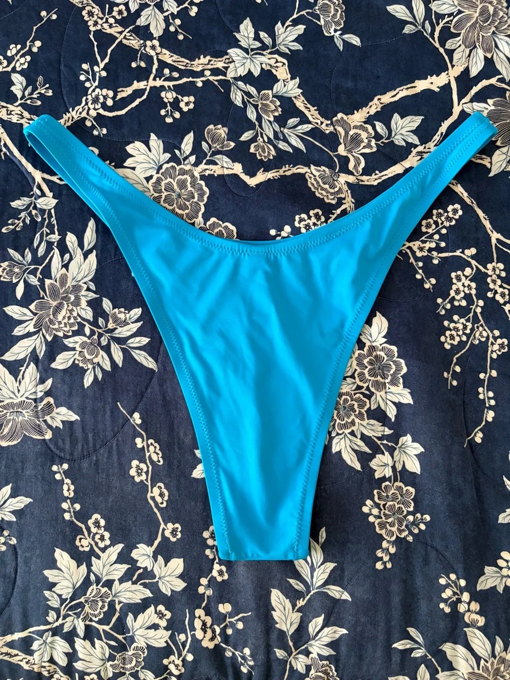 SKIMS Blue Bikini Bottom